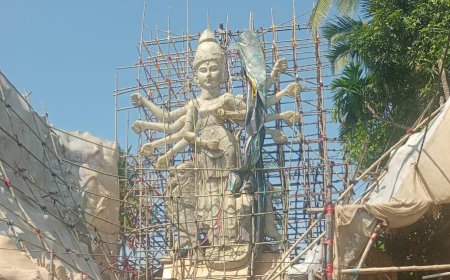 থিমের ছড়াছড়ি দক্ষিণ ২৪ পরগণায়, কোথাও বিশাল প্রতিমা, আবার কোথাও অ্যালবার্ট হল মিউজিয়াম