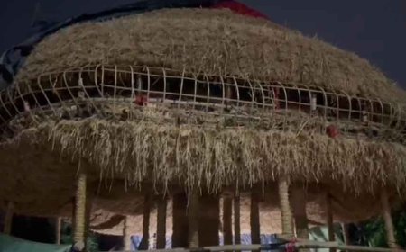 পুজোয় বৃক্ষরোপণের বার্তা, 'কল্পতরু' ভাবনায় তৈরি হচ্ছে নিউটাউন সিএ ব্লকের মণ্ডপ