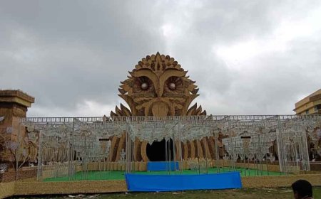 লক্ষ্মী পেঁচার আদলে পুজো মণ্ডপ, উপাদানে মেহগিনির ফল-ভুট্টার আঁশ, কোথায় রয়েছে এই চমক?