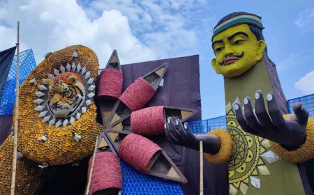 পুজো মণ্ডপে অরণ্য রক্ষার বার্তা, কোচবিহারে মহিষবাথান বিদ্যাসাগর ক্লাবের থিম 'সুন্দরবন'